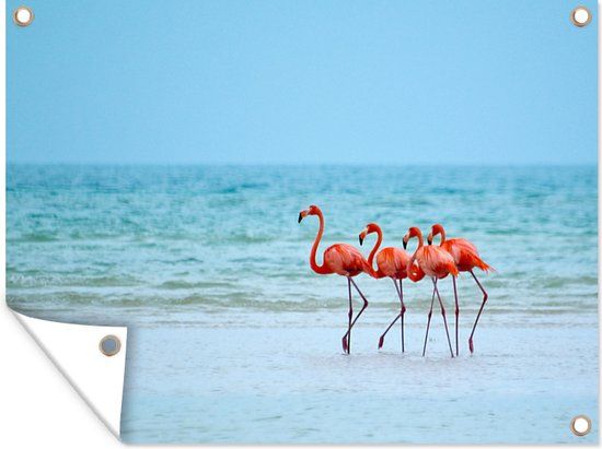 GreatGardenPosters Outdoor Wall Decoration: Flamingos in Water - 160x120cm - PVC - Rectangular
