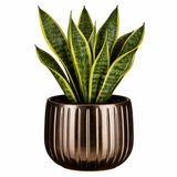 Mica Decorations Plantenpot Pablo Keramiek Brons Glans Ribbels D16 x H14 cm