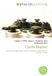 Castle OmniScriptum Castle Master: Paperback, 68 pages