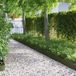 Bordures de pelouse Acier Vert olive 10 pièces