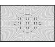 Nikon Focusing Screen U