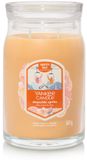 Yankee Candle Slopeside Spritz Large Jar Geurkaars