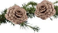 Cosy&Trendy Billiet - Vanlaere Kerstboom bloemen op clip - 2x stuks - champagne - kunststof - 18 cm