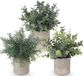 SnelShoppen Set van 3 Mini Kunstplanten