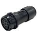 Bulgin PXP4011/06S/3035 Ronde connector Bus Totaal aantal polen: 6 1 stuk(s)