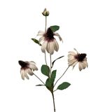 Roberts Collection fleur artificielle Rudbeckia 83cm fleur de décoration crème