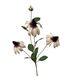 Roberts Collection fleur artificielle Rudbeckia 83cm fleur de décoration crème