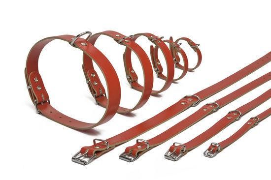 Beeztees Ipts halsband - Rood 27x10