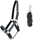 QHP Halster en touwset voor paarden, Full, palmgroen