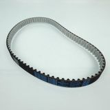 Dayco Distribution Belt for Ducati 1000 Monster 2008 941068 New