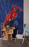 Komar Fotobehang - Marvel Spider-Man Spider Web 150x250cm - Vliesbehang