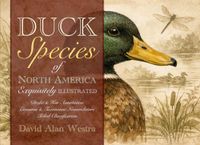 Duck Species of North America: Exquisitely Illustrated