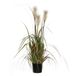 Mica Decorations Pluimgras Foxtail Wit In Pot 81 x 45 cm - Groen - PVC