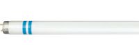 Philips Hue Philips MASTER TL-D Secura 18W G13 Koel wit TL Lamp