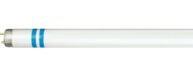 Philips Hue Philips MASTER TL-D Secura 18W G13 Koel wit TL Lamp