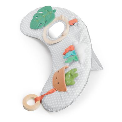 Ingenuity Cozy Prop™ 4-in-1 Activity Gym - Nate™