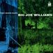 Sonic Rendezvous Big Joe Williams - Piney Woods Blues (CD)
