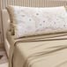 PETTI Artigiani Italiani - Katoenen beddengoed met kussenslopen met digitale print, bedlakens voor Franse bedden, beddengoedset voor Frans bed, taupe, 100% Made in Italy