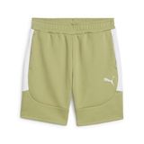 Puma TeamEVOSTRIPE-broek 659951 Heren 3XL Calming Green-Puma Silver-Puma White