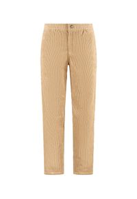 Shiwi Alan Pantalon droit en velours côtelé Beige Clay Taille : L