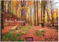 Indian Casares Fine Art Edition Indian Summer Kalender 2027 - Wandkalender | Fotokalender Nordamerika 24x35cm