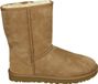 UGG CLASSIC SHORT NEW M - Cognac - Maat 44