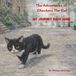 The Adventures of Checkers the Cat: My Journey Back Home
