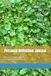 Personal Reflection Journal: For Courses, Books, Sermons, and Leadership Development