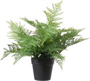 Louis Maes Kunstplant bosvaren Dryopteris Remota - groen - 43 cm - zwarte kunststof pot