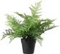 Louis Maes Kunstplant bosvaren Dryopteris Remota - groen - 43 cm - zwarte kunststof pot