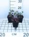 Groendecor Tuinarchitectuur 6x Lupine - Lupinus hybr. 'Gallery Red' | pot de 9x9 cm