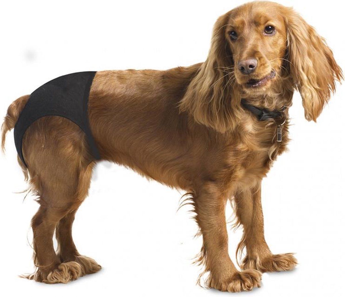 Duvo Honden Loopsheidbroekje - M - Zwart