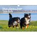 Seelenzauber Honden Magie Grote Honden DIN A3 Kalender Voor 2022 Puppy's En Honden