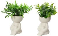 Decoris Kunstplant in Lichaamvorm Pot Kunststof/Keramiek Dia.5x16cm 2 Assorti