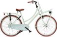 Antilope Mini Cargo X1 Transport 26 Inch Meisjesfiets Mat Lichtgroen