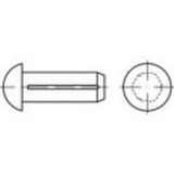 TOOLCRAFT TO-5451867 Clou à entaille semi-circulaire 2,5 mm 500 pièce(s)
