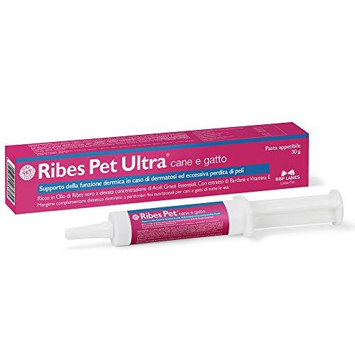 NBF Lanes Ribes Pet Ultra Pasta 30 g