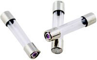 ESKA 528.020 528020 Buiszekering (Ø x l) 5 mm x 25 mm 2 A 250 V Normaal -mT- Inhoud 10 stuk(s)