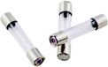 ESKA 528.020 528020 Buiszekering (Ø x l) 5 mm x 25 mm 2 A 250 V Normaal -mT- Inhoud 10 stuk(s)