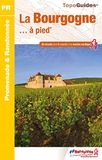 La Federation Francaise De La Randonnee Pedestre Promenade & Randonnée-Bourgogne à pied