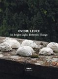 Magonza Ovidiu Leuce. In bright light, between things. Ediz. italiana e inglese
