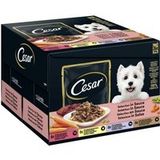 Cesar Feines in versheidszakje multipack 24 x 100 g
