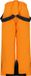 ZIGZAG Skihose Provo Bruin Unisex Kinderen Polyester Gevoerd Waterdicht