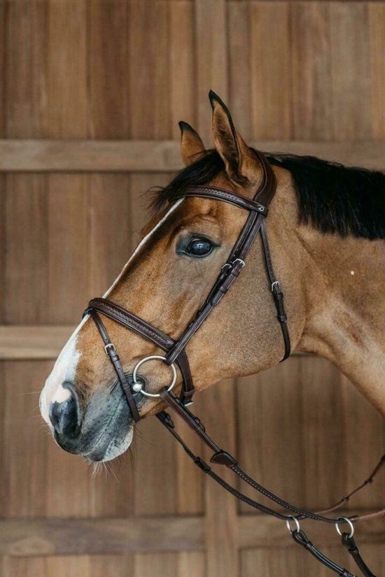 Dy on Plaited Flash Noseband Bridle - Brown - Full