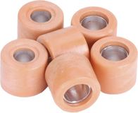 LeoVince Variateurrolset 19x15,5mm - 7,5gr