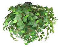 Reality Leuchten Plafondlamp LEAVY R60463015
