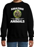 Bellatio Decorations Amazing Wild Animals Sweater Luiaard Zwart Kinderen 152/164