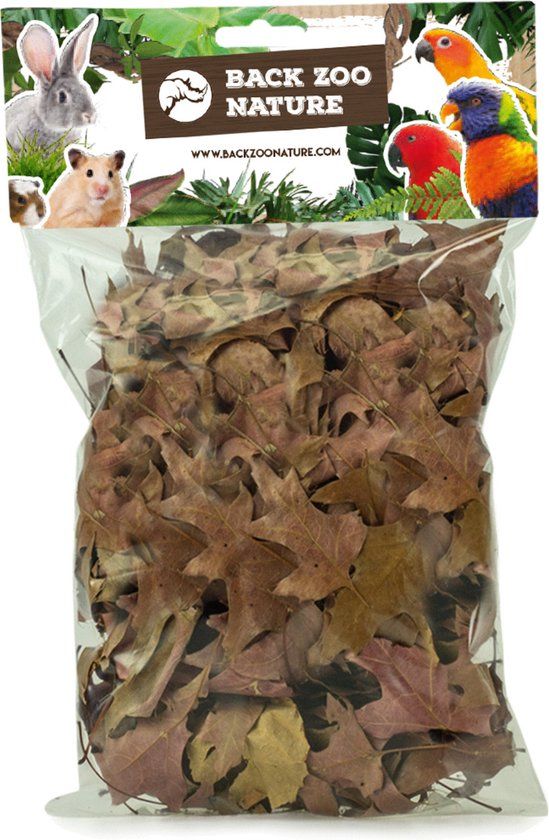 Back Zoo Nature Discovery Leaves - Natuurlijk Speelgoed - Ca. 35-50 G