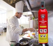 REINOLD MAX Keukenbrandblusser 'KITCHEN', 750 ml