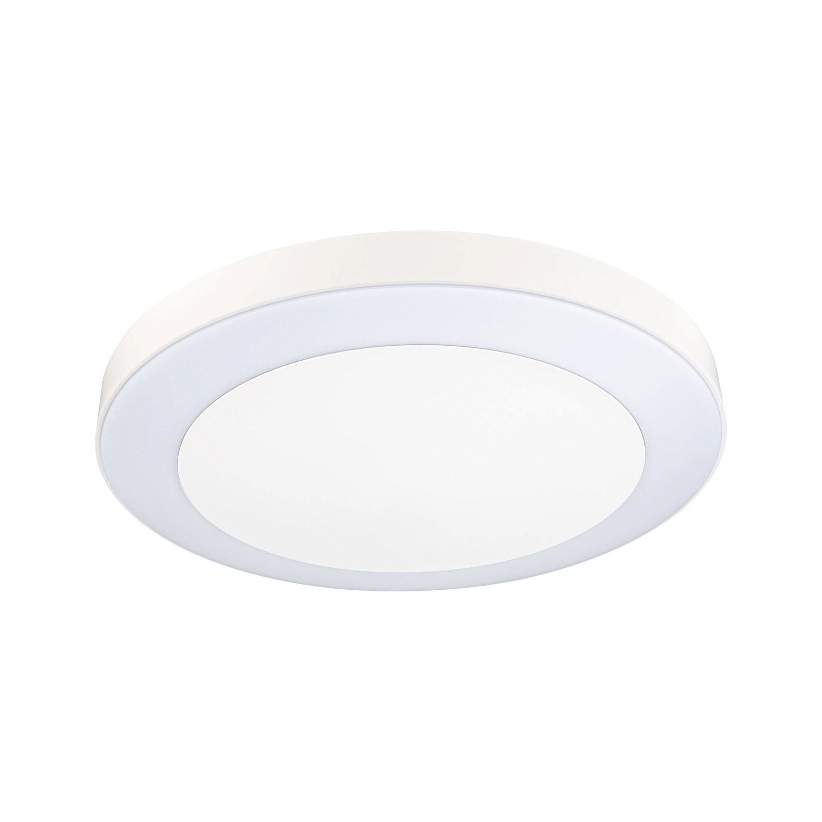 Paulmann 94528 Buitenlamp - 1800 Lumen - 3000K - Wit